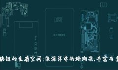 区块链的生存空间：像海洋中的珊瑚礁，丰富而