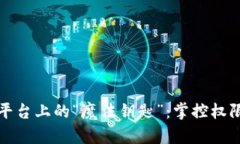 区块链平台上的“魔法钥匙”：掌控权限的奥秘