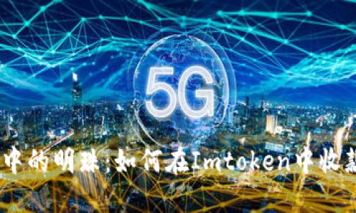 “海洋中的明珠：如何在Imtoken中收款EOS”