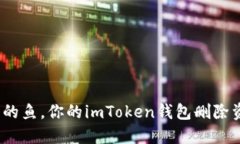 数字资产如同海洋中的鱼，你的imToken钱包删除资