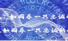 : 修炼你的“数字钱包”，