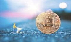 imToken钱包密码找回攻略：详细步骤与常见问题解