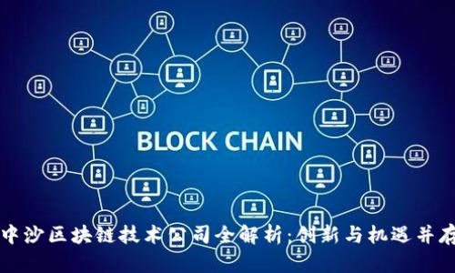 中沙区块链技术公司全解析：创新与机遇并存