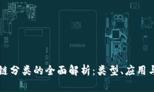 美国区块链分类的全面解析：类型、应用与未来发展